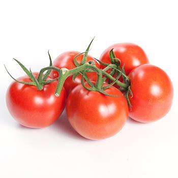 Strauchtomaten 5kg